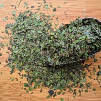 Guayusa Bio