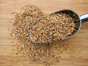 Infusion Bio Sobacha – thé de sarrasin torréfié