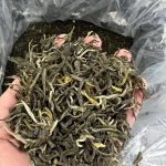 Thé vert aux Fleurs Jasmin Maofeng "福州茉莉毛峰"