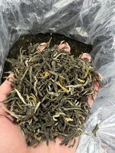 Thé vert aux Fleurs Jasmin Maofeng "福州茉莉毛峰"