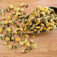 chrysanthèmes