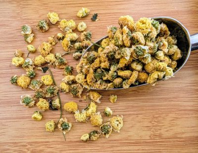 chrysanthèmes
