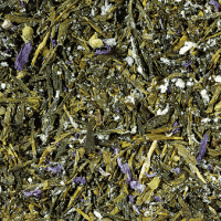 sencha kombucha
