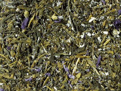 sencha kombucha