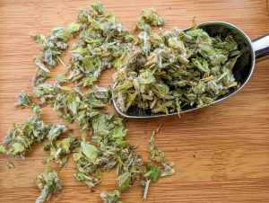 Infusion Thé grec des montagnes – Malotira