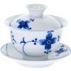 Gaiwan kaiwen