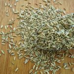 Grains de Fenouil
