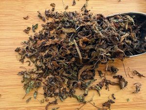 Infusion Bio Tulsi – Baslic sacré