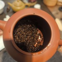 feuilles infusés gushu