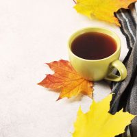 Thés d'automne