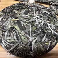 feuilles galette