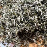 biluochun fujian