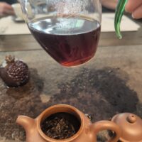 mannuo infusé
