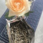 Thé vert aux Fleurs Jasmin Zhen wang "福州茉莉针王 8窨"