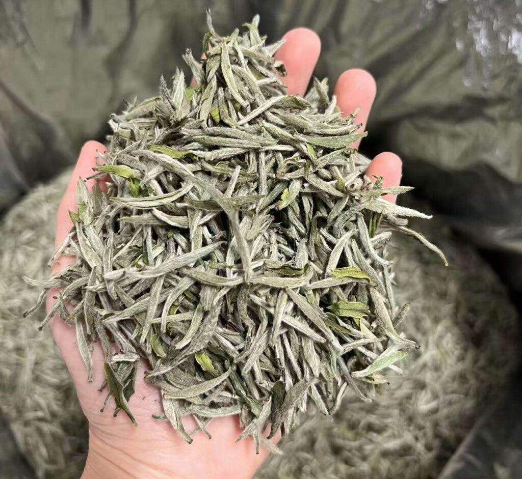 baihao yinzhen