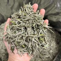 baihao yinzhen