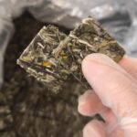 Mini Galette Baimudan 2024 政和白茶饼干 – 100g