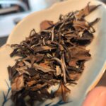 Fuding vieux shou mei -2010 福鼎老寿眉