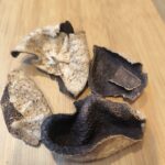 Vieux Chenpi 15 ans -L’Orange aux Mille Vertus -10g